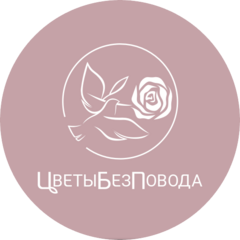 Просвет