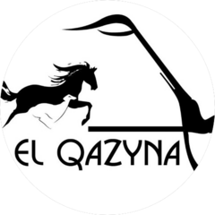 Микрофинансовая организация EL QAZYNA