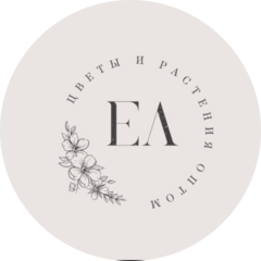Гурбанов Эльвин Юсиф Оглы