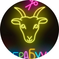 Лобыкина Владислава Сергеевна