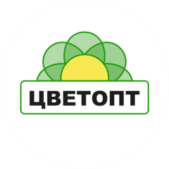 ЦВЕТОПТ
