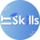 IT Skills