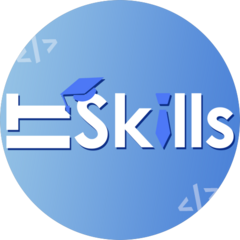 IT Skills