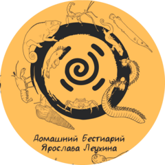 Домашний Бестиарий