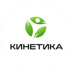 Студия КИНЕТИКА