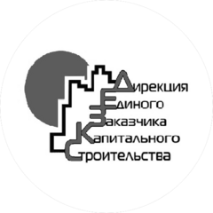Муниципальное казенное учреждение Городского Округа Город Воронеж Дирекция Единого Заказчика Капитального Строительства