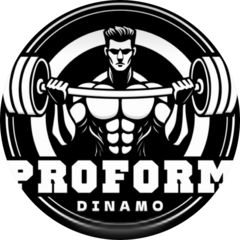 Proform Dinamo Gym