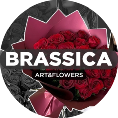 Brassica