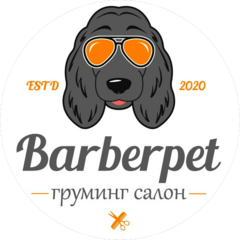 Дулатова Наиля Шамилевна