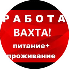 Стрелец Анастасия Юрьевна