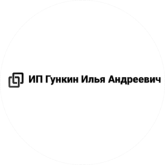 Гункин Илья Андреевич