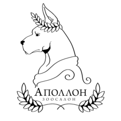 Анисимова Александра Дмитриевна