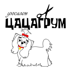 Цацагрум (ИП Рышков Владимир Игоревич)