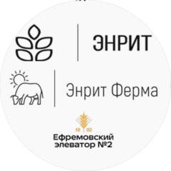 Энрит