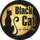 Black cat