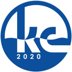 Комплексные Системы 2020