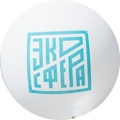 Давыдова Ангелина Юрьевна