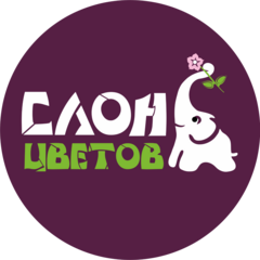 Слон цветов
