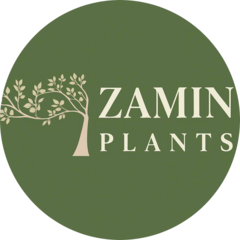 ZAMIN PLANTS