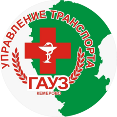 ГАУЗ Управление транспорта
