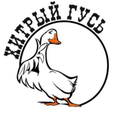 Хитрый гусь