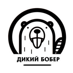 Белослудцева Анна Игоревна