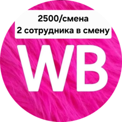 Вылегжанин Дмитрий Александрович