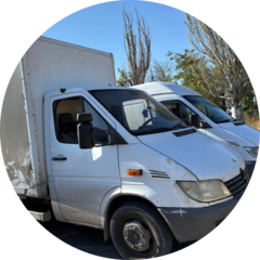 Тищенкова Анастасия Сергеевна