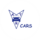 artCARS