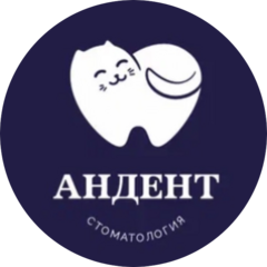 Стоматологическая клиника Andent
