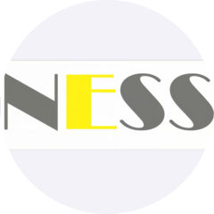 NESS (ИП Евтюшкина Юлия Викторовна)