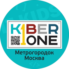 KiberOne (ИП Хорошавина Арина Андреевна)
