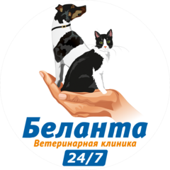 БелАнта
