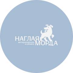 Остапова Светлана Игоревна