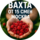 Зубкова Елена