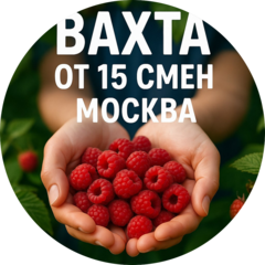 Зубкова Елена Владимировна