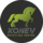 Ломоносов Детейлинг