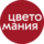 Цветомания