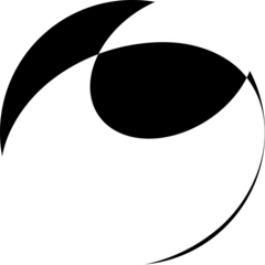      Kosmos