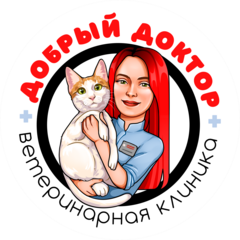 Кузнецова Анастасия Владимировна