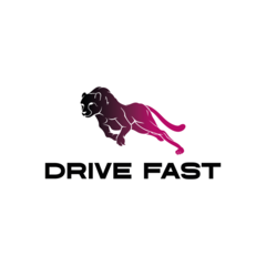 Драйв Фаст