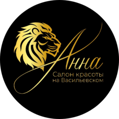 Салон красоты Анна (ИП Андреева Анна Васильевна)