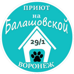 МБУ Муниципальный Приют Для Животных