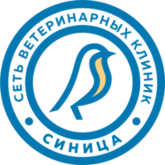 Шакин Анатолий Викторович