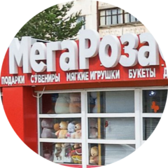 MegaRosaopt
