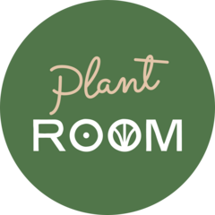 Rom Rom Plant