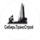 СИБИРЬТРАНССТРОЙ