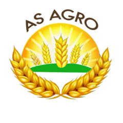 Ситкалиев Асхат