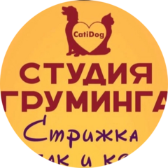 Catidog