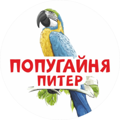 Князев Алексей Александрович